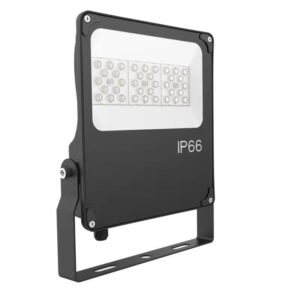 12V-24VDC Apollo XS Floodlight